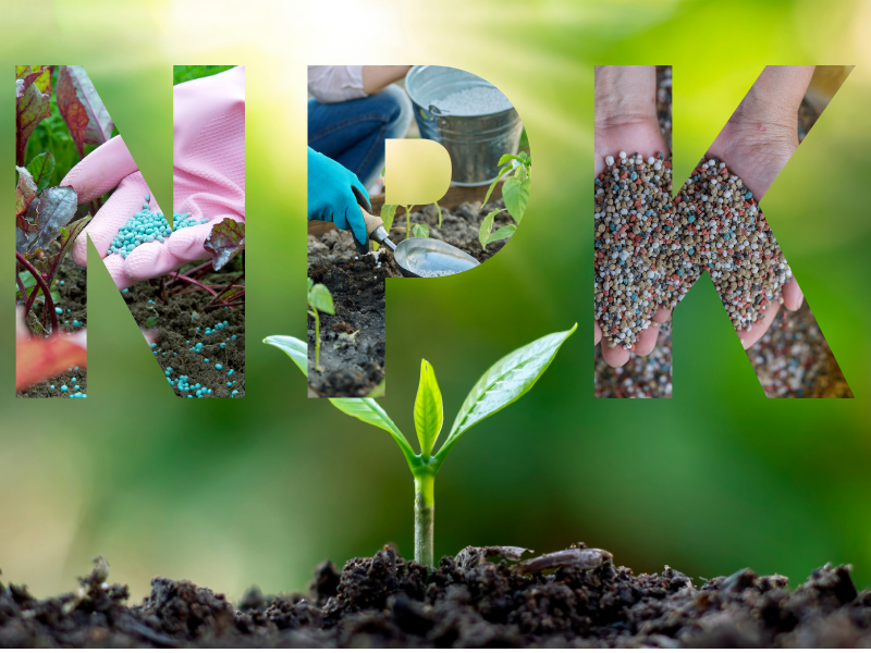 NPK